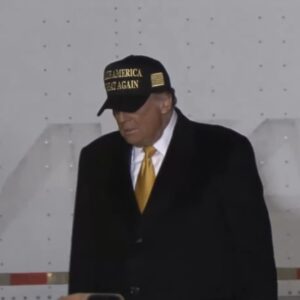 DARK MAGA – GOLD MAGA HAT