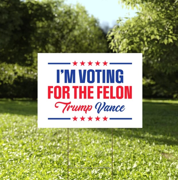 I'm Voting For The Felon Yard Sign Yard Sign