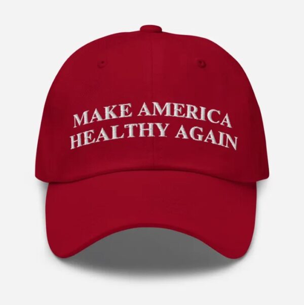 Make America Healthy Again Dad Hat