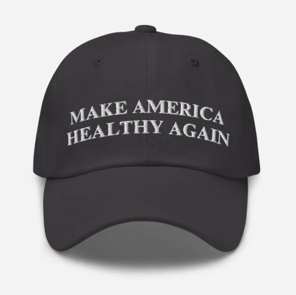 Make America Healthy Again Dad Hat