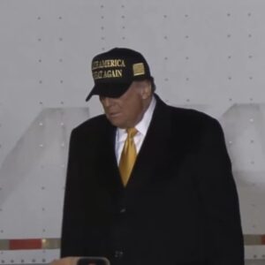 OFFICIAL BLACK AND GOLD MAGA HAT