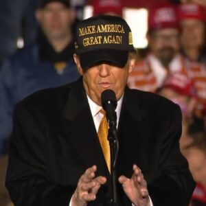 OFFICIAL BLACK AND GOLD MAGA HAT
