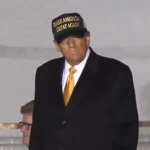 Official President Trump BLACK & GOLD MAGA HAT