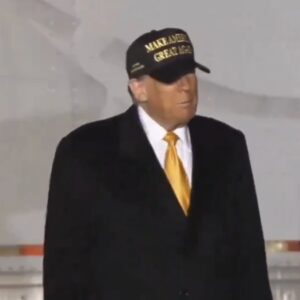 Official President Trump BLACK & GOLD MAGA HAT