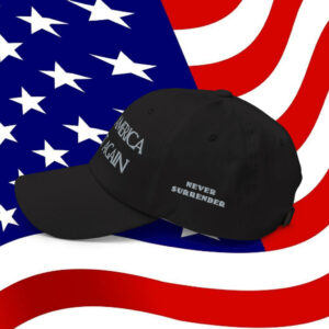 Official Trump Dark MAGA Hat