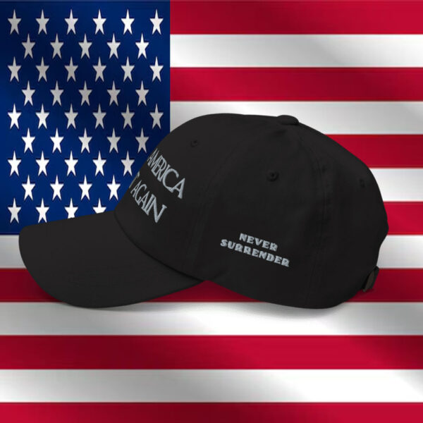 Trump - Elon Musk Dark MAGA Hat