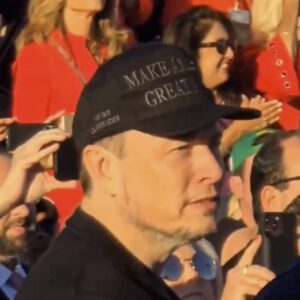Trump - Elon Musk Dark MAGA Hat