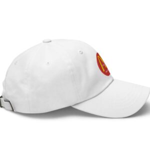 Trump Vance 2024, Trump Magadonalds Hat