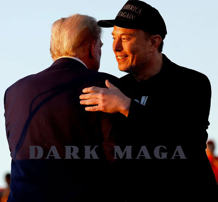 Elon Musk - Trump Dark MAGA Hat