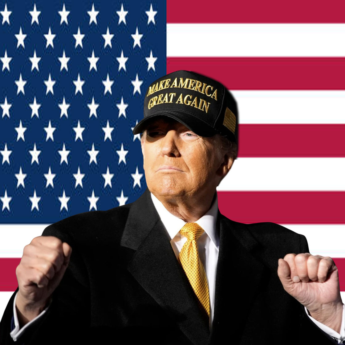 Trump Win- Gold Dark Maga Hat