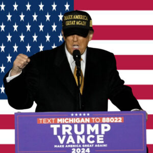 Trump Win- Gold Dark Maga Hat