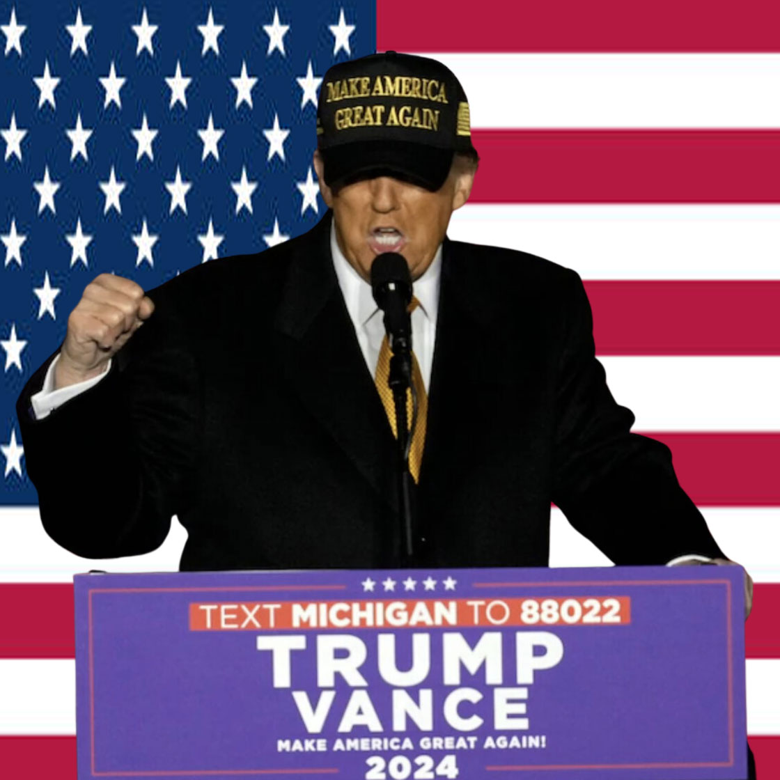 Trump Win- Gold Dark Maga Hat
